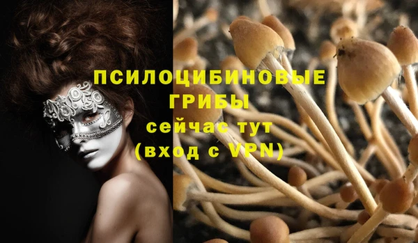 гашиш Абаза